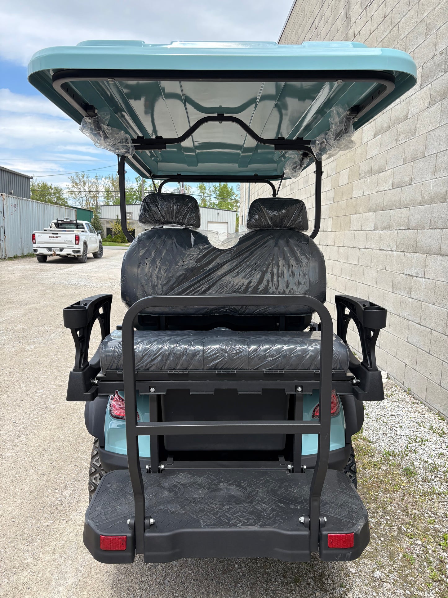 Electric Golf Cart - 2+2 Seats - Teal